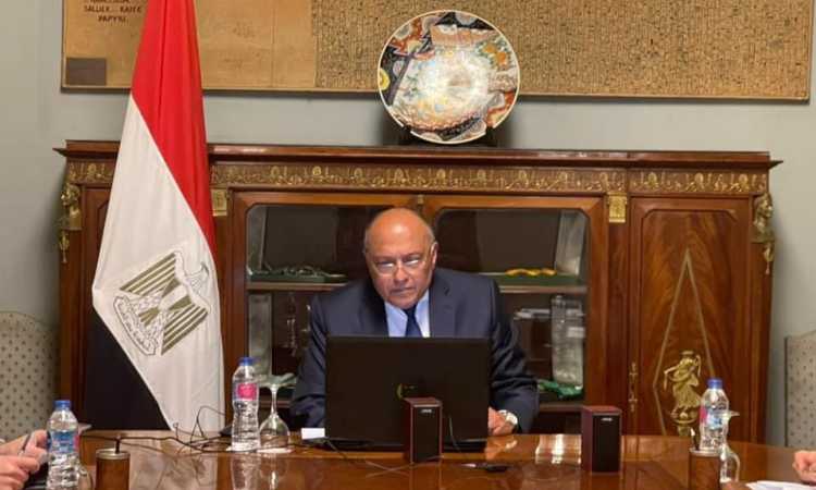 سامح شكرى