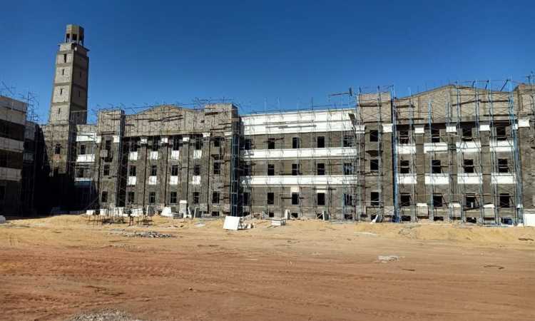 جامعة القاهرة الدولية