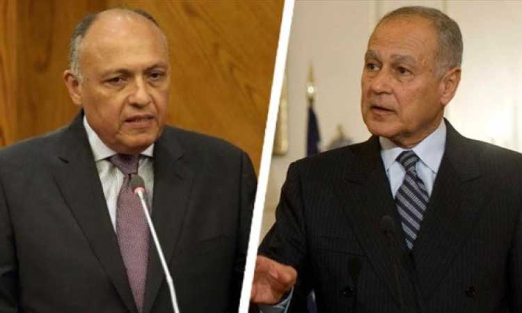سامح شكرى وأبوالغيط