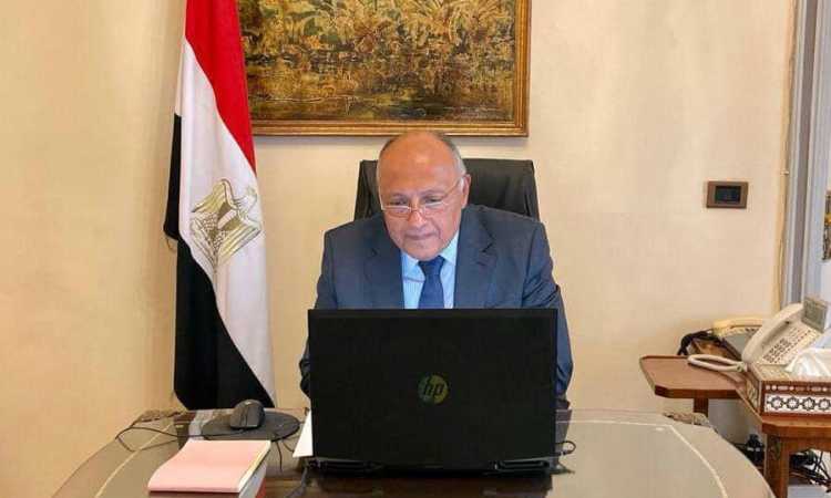 سامح شكرى