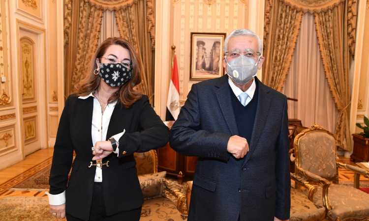 غادة والى فى مجلس النواب