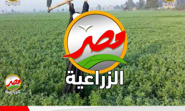قناة مصر الزراعية