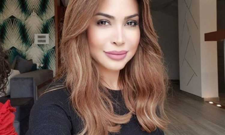 نوال الزغبى