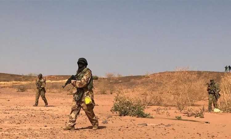 هجوم إرهابى فى النيجر