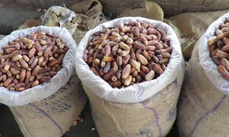 البلح