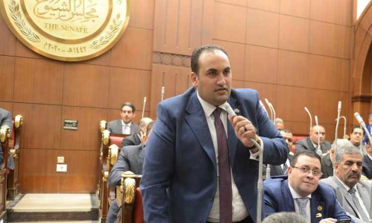 النائب محمد الرشيدى