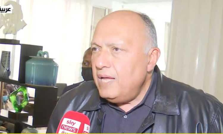 سامح شكرى