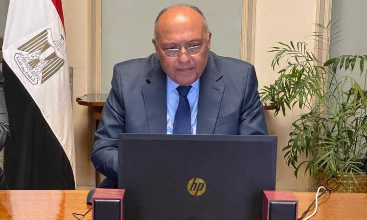الوزير سامح شكرى