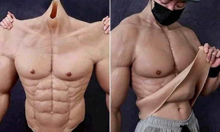 العضلات