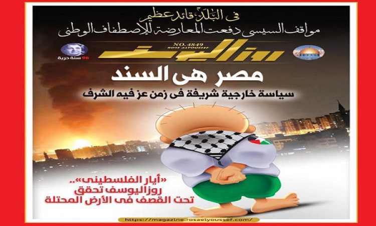 العدد الجديد من روزاليوسف