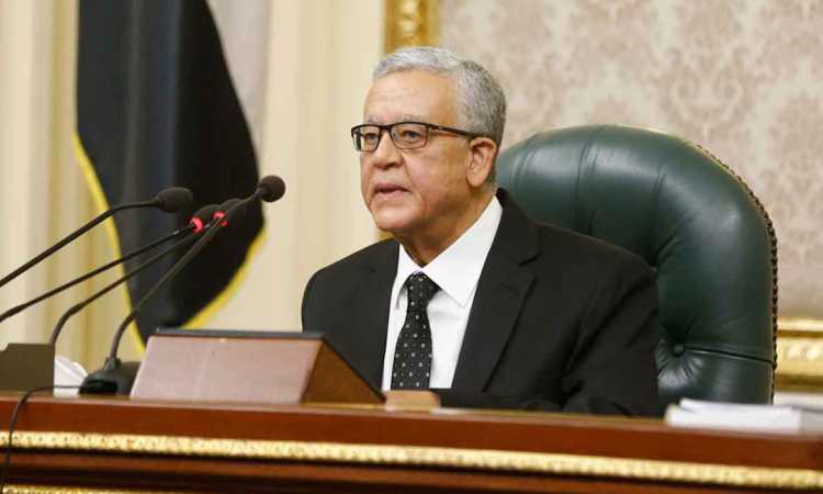 الدكتور حنفى جبالى