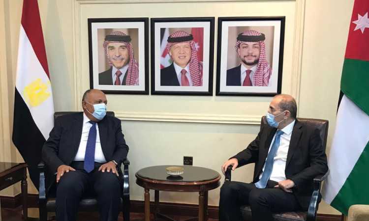 وزير الخارجية سامح شكرى وزير الخارجية الأردنى أيمن الصفدى