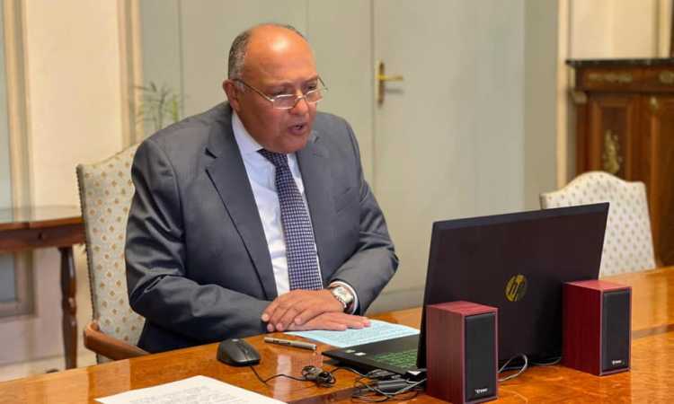 سامح شكرى