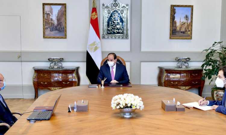 اجتماع السيسى مع وزير العدل