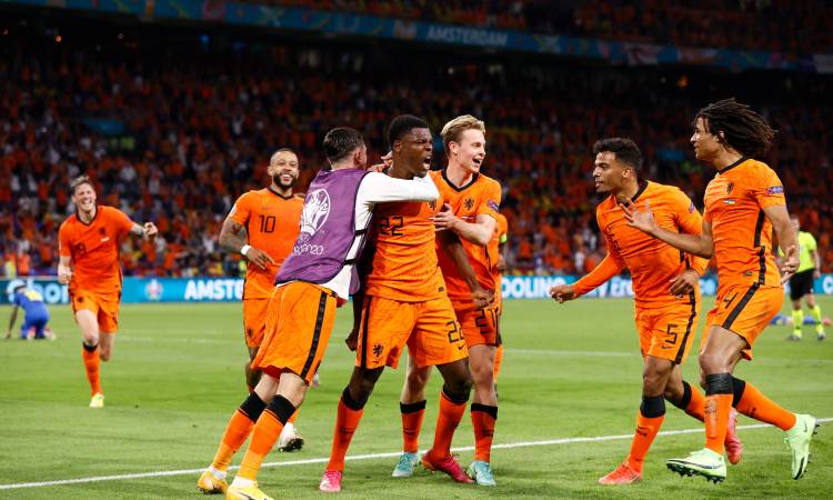 الأسود هولندا الجبل ضد نتيجة مباراة