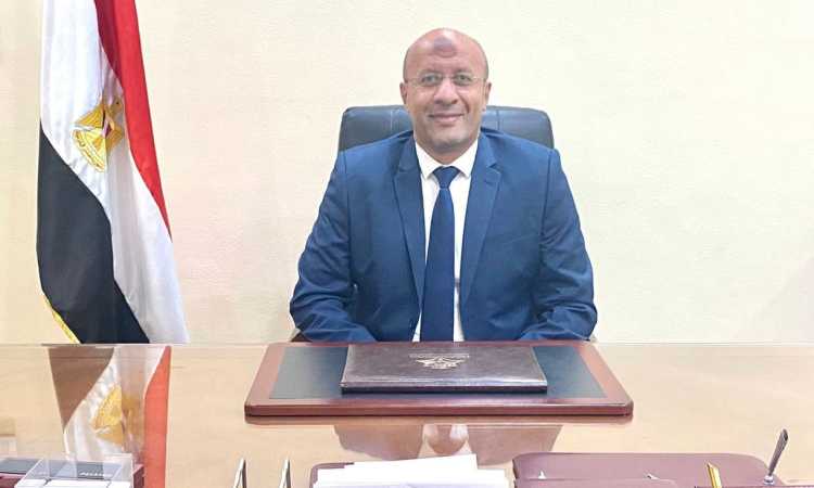 أحمد حسنى الحيوى