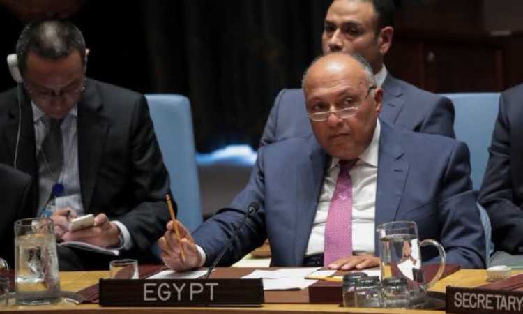 سامح شكرى
