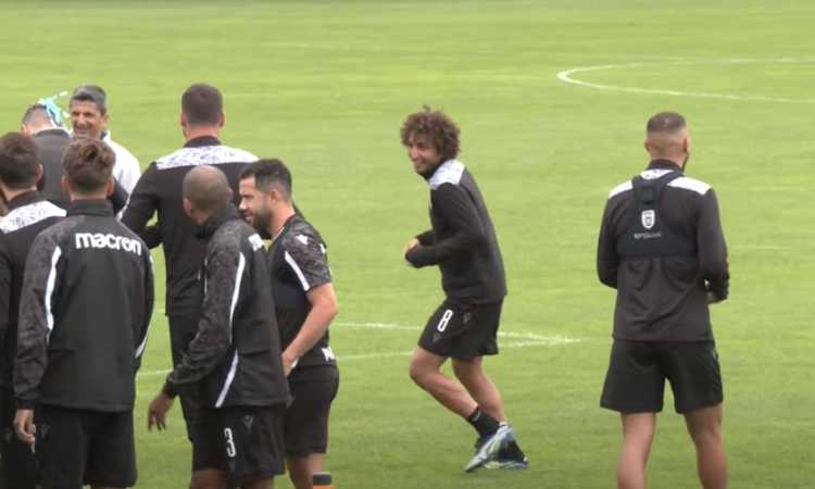 عمرو وردة