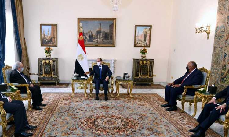 الرئيس السيسى