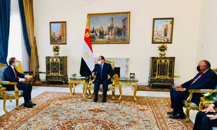 السيسى يستقبل وزير الخارجية التشيكى