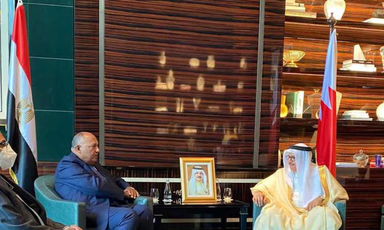 وزير الخارجية سامح شكرى يلتقى وزير خارجية البحرين