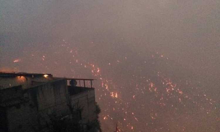 حرائق تيزى وزو الجزائرية