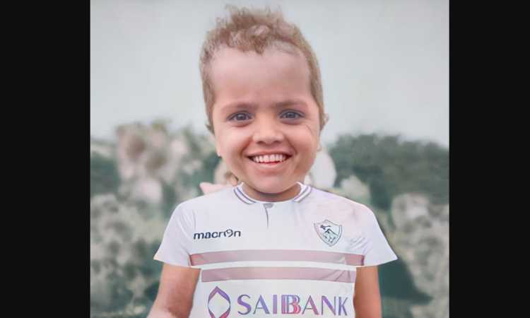 محمد هنيدى