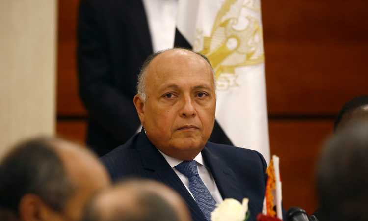سامح شكرى