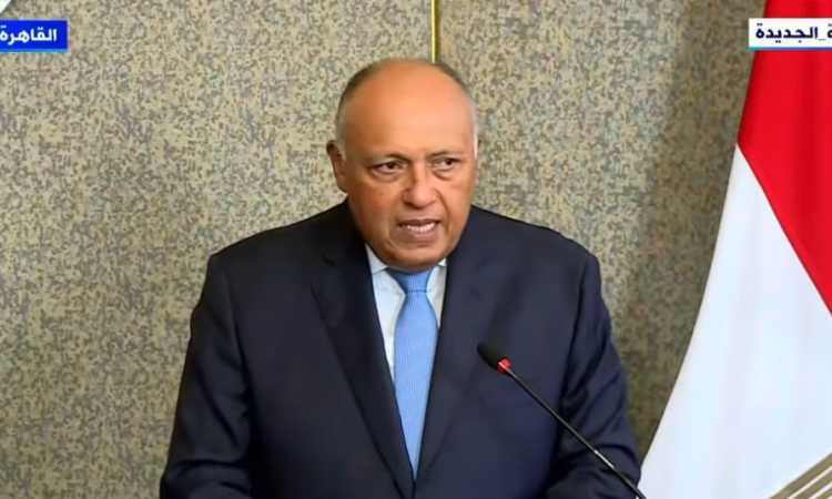 سامح شكرى