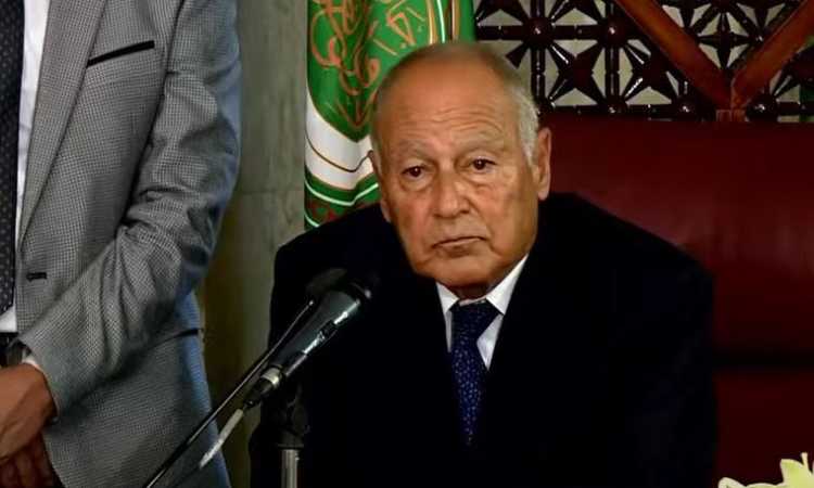 أحمد أبو الغيط