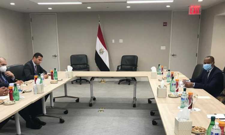 سامح شكرى