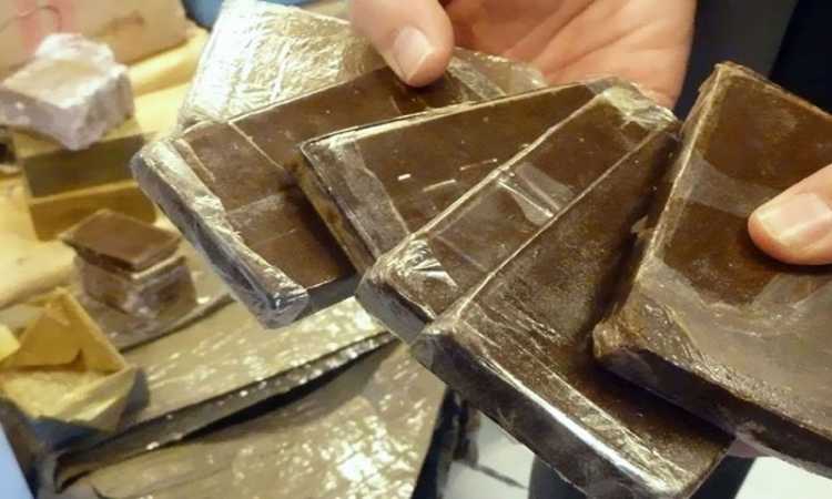 طرب حشيش