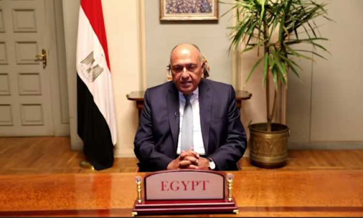 سامح شكرى