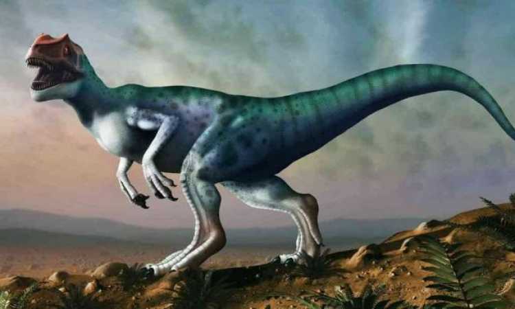 ديناصور من سلالة caudipteryx