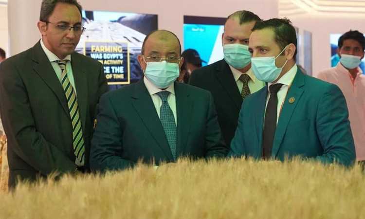 جولة وزير التنمية المحلية