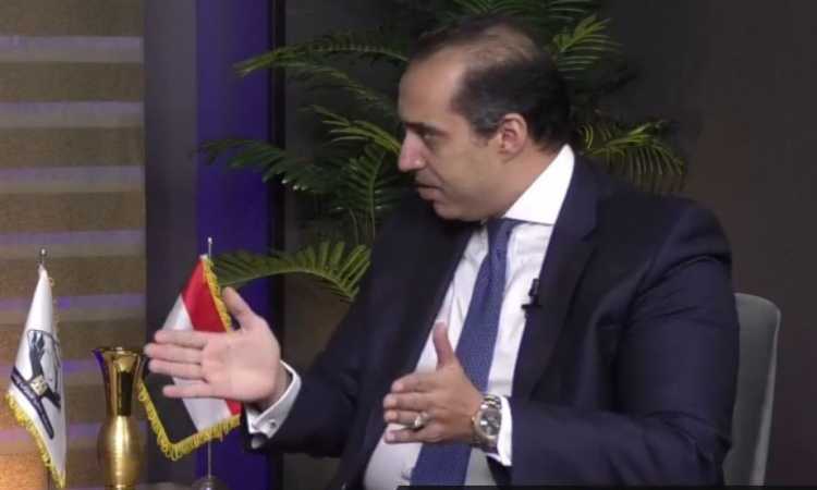 المستشار محمود فوزى