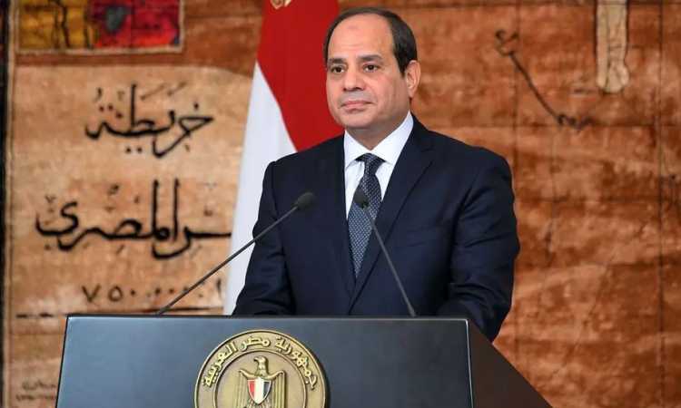 الرئيس عبد الفتاح السيسى