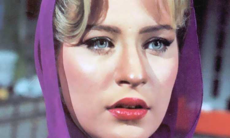 شيرين سيف النصر
