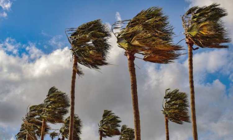 سرعة الرياح