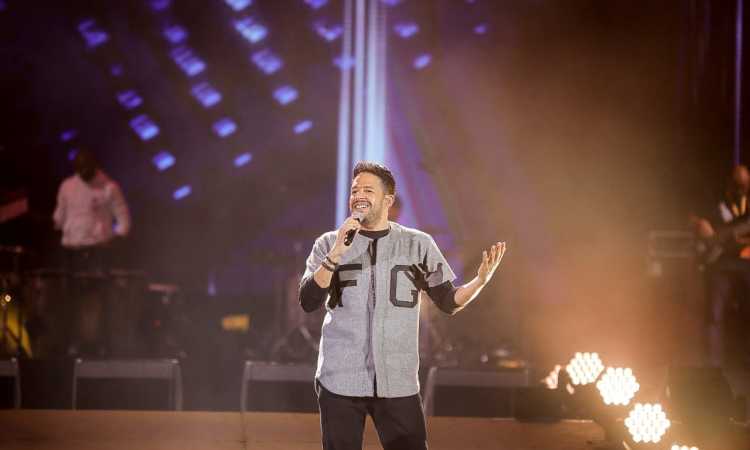 محمد حماقى