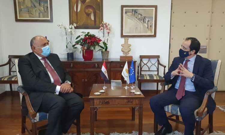 سامح شكرى