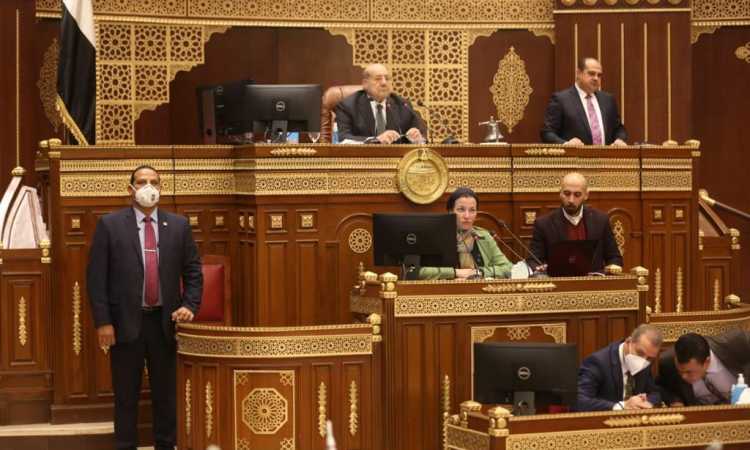 وزيرة البيئة بمجلس الشيوخ
