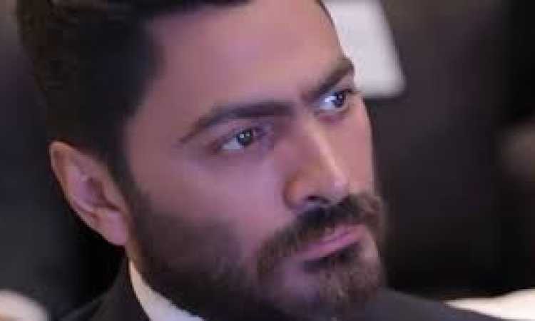 تامر حسنى