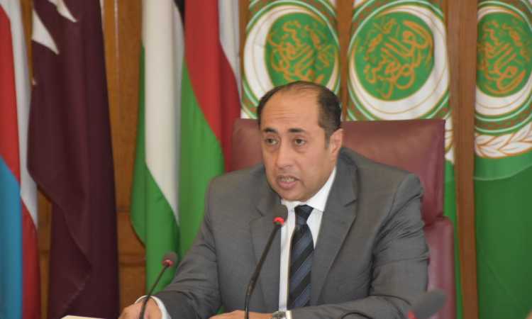 السفير حسام زكى