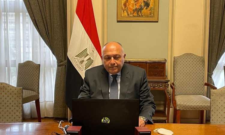 شكري يشارك في جلسة افتراضية رفيعة المستوى حول تغير المُناخ