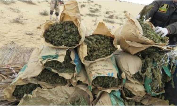 ضبط 2500 كيلو بانجو بالإسماعيلية