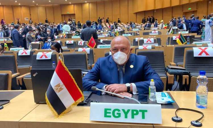 وزير الخارجية سامح شكري