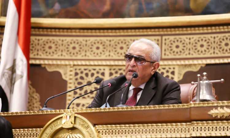 بهاء أبو شقة