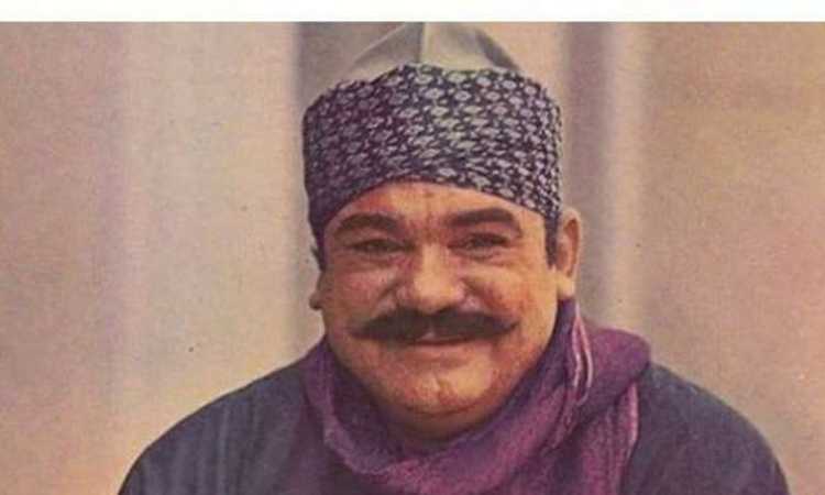 محمد رضا