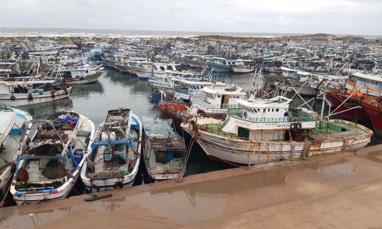 ميناء الصيد البحرى ببرج البرلس